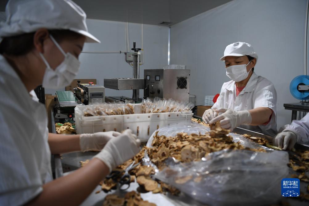 官网允许的棋牌